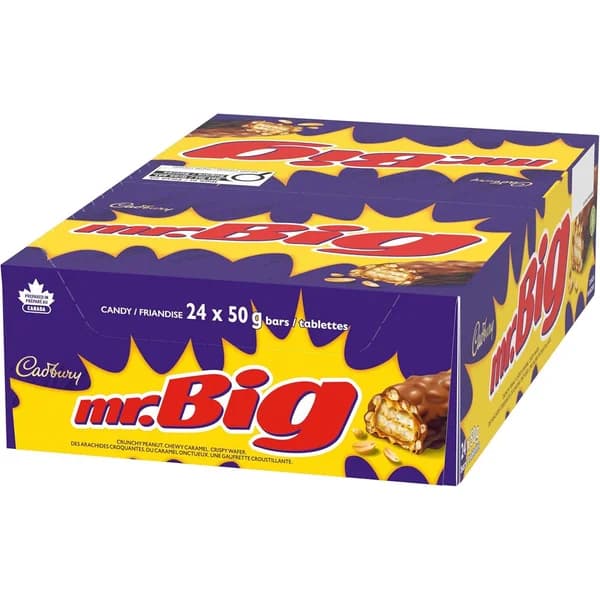 Mr. Big